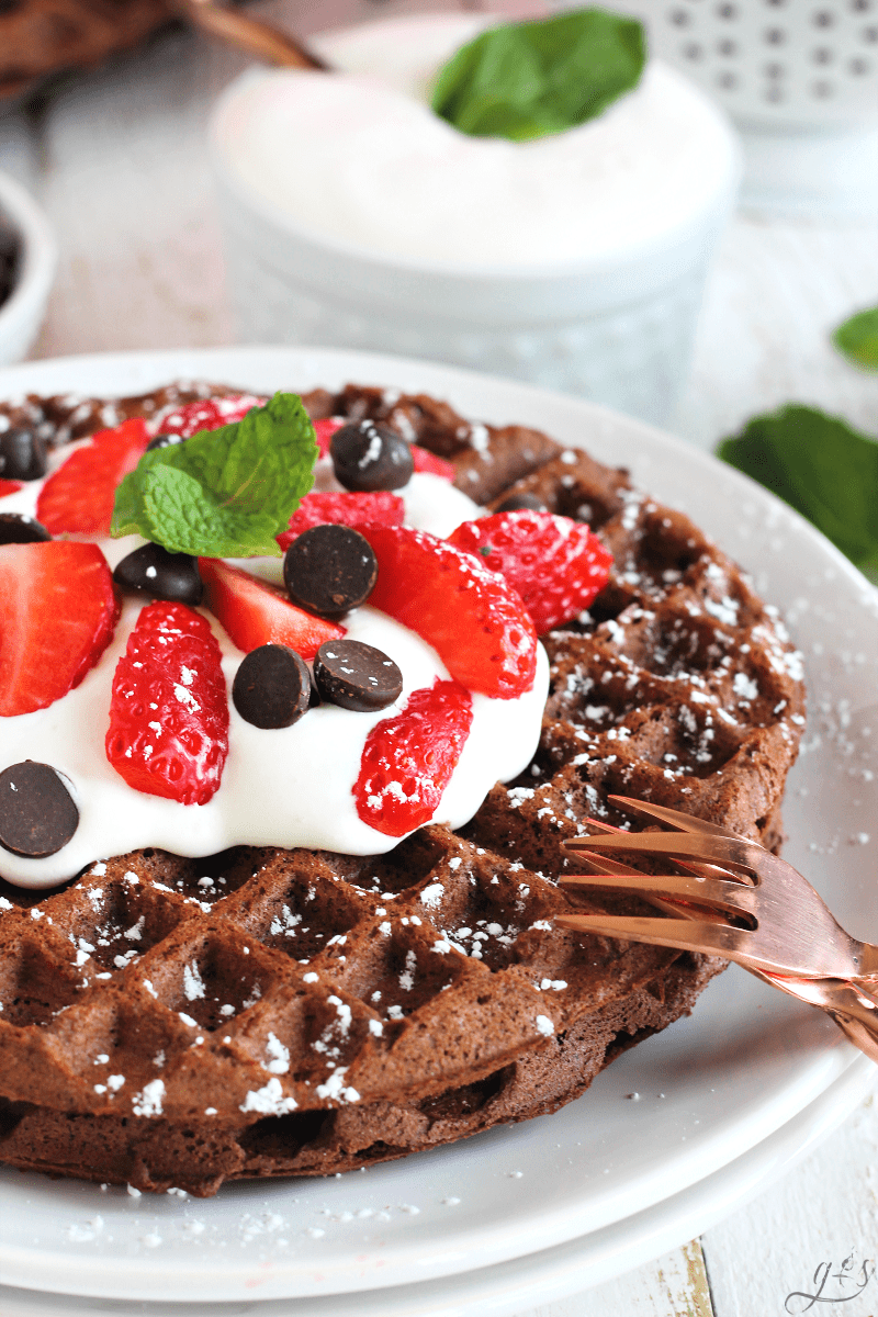 Gluten-Free Chocolate Waffles | This healthy and easy breakfast, brunch, snack, or dessert recipe is perfect for adults and kids! From scratch homemade recipes are best and this one is no exception. Use #glutenfree flour or whole wheat, cocoa, coconut sugar, eggs and almond milk. Oil free and no butter too! Learn how to make simple belgian waffles at home with toppings galore like bananas, fruit, whipped cream or plain Greek yogurt. #waffles #cleaneating #easyrecipe #breakfast