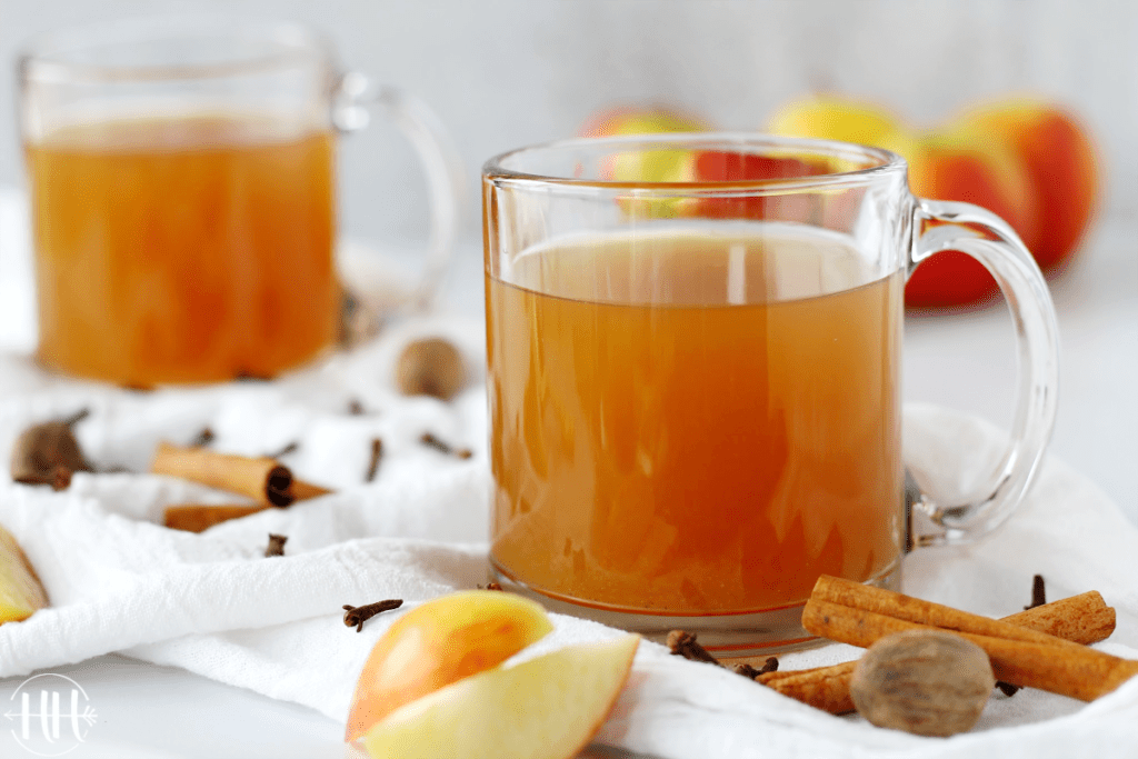 Clean glass mug full of apple cider surrounded by apple wedges, cinnamon sticks, whole nutmegs, and whole cloves.