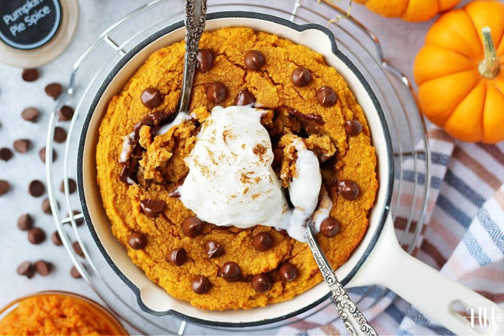 Pumpkin Protein Cake for One topped with chocolate chips and whipped cream surrounded by mini pumpkins. 