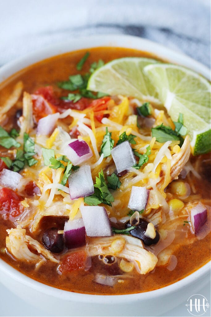 Beautiful bowl of colorful chicken enchilada soup! 