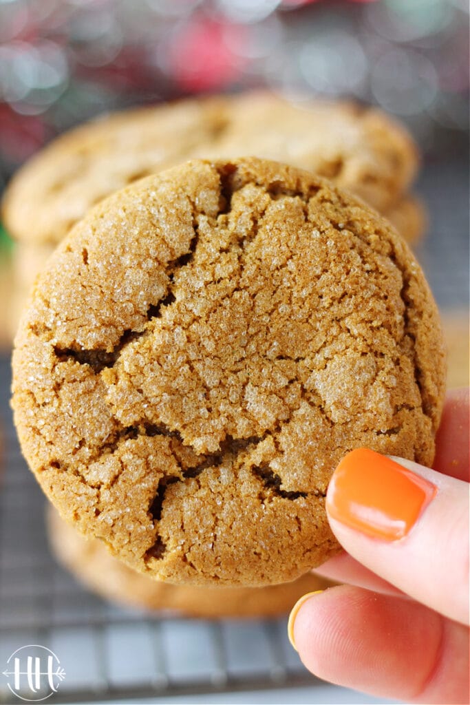 A lady's fingers holding up a sugar coated Christmas cookie. 