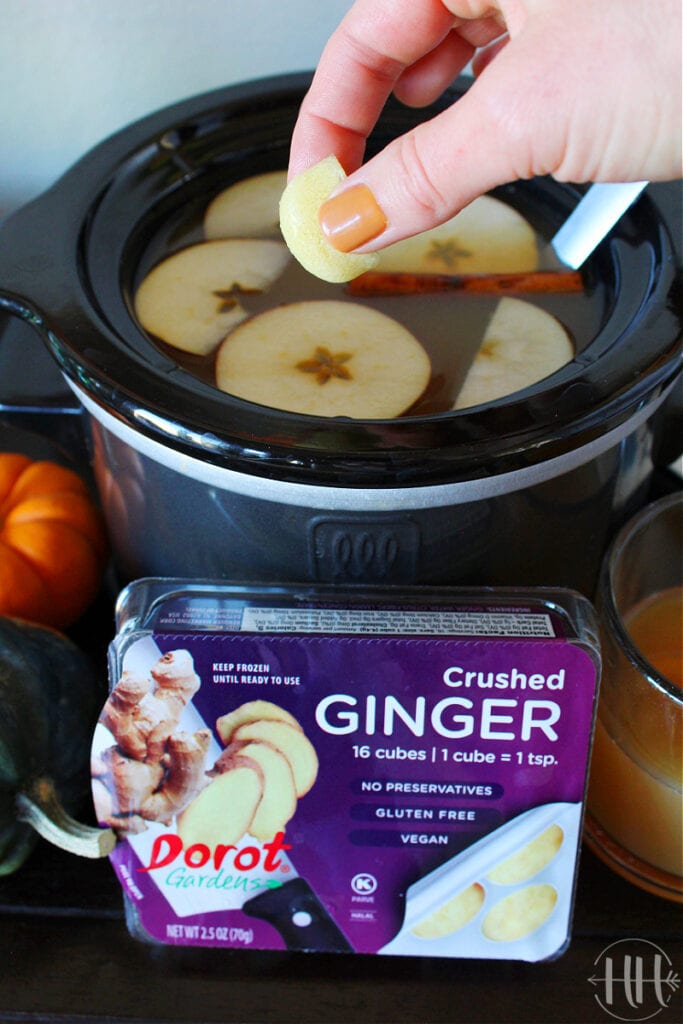 Crockpot Apple Cider - HappiHomemade with Sammi Ricke