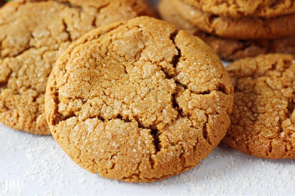 A close up shot of a smattering of molasses cookies. 