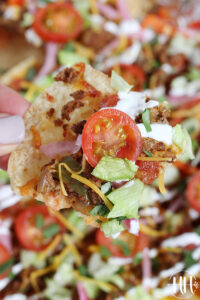 A tortilla chip with nacho toppings and a halved cherry tomato.