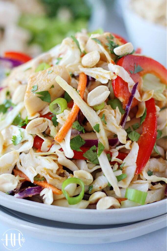 Beautiful Thai chicken salad piled high on a rustic white plate. 