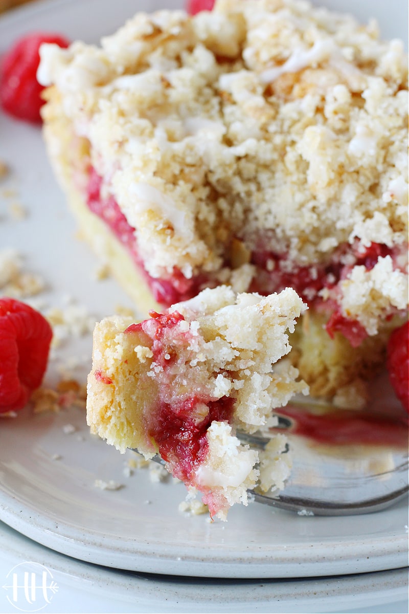 Raspberry Coffee Cake - HappiHomemade with Sammi Ricke