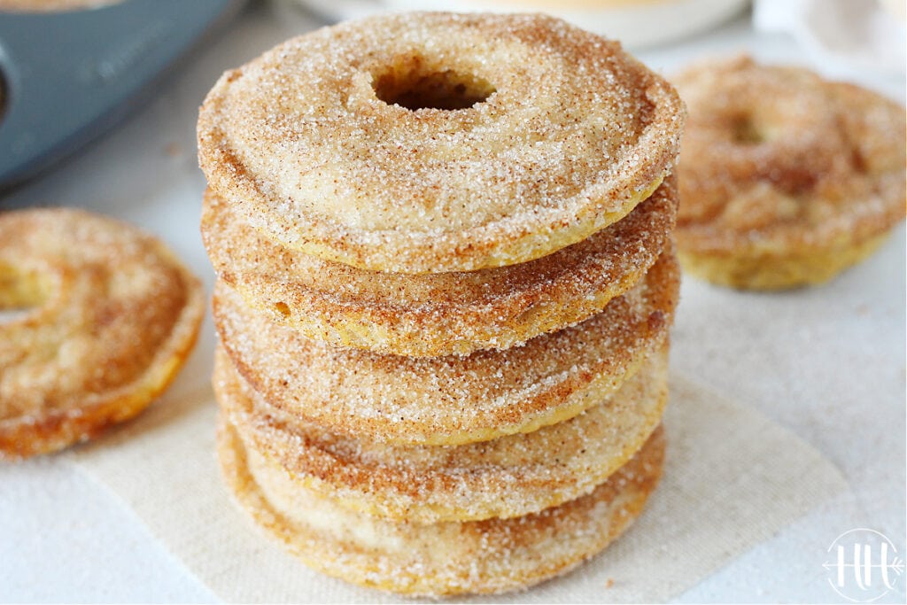 A stack of cinnamon and sugar protein donuts.