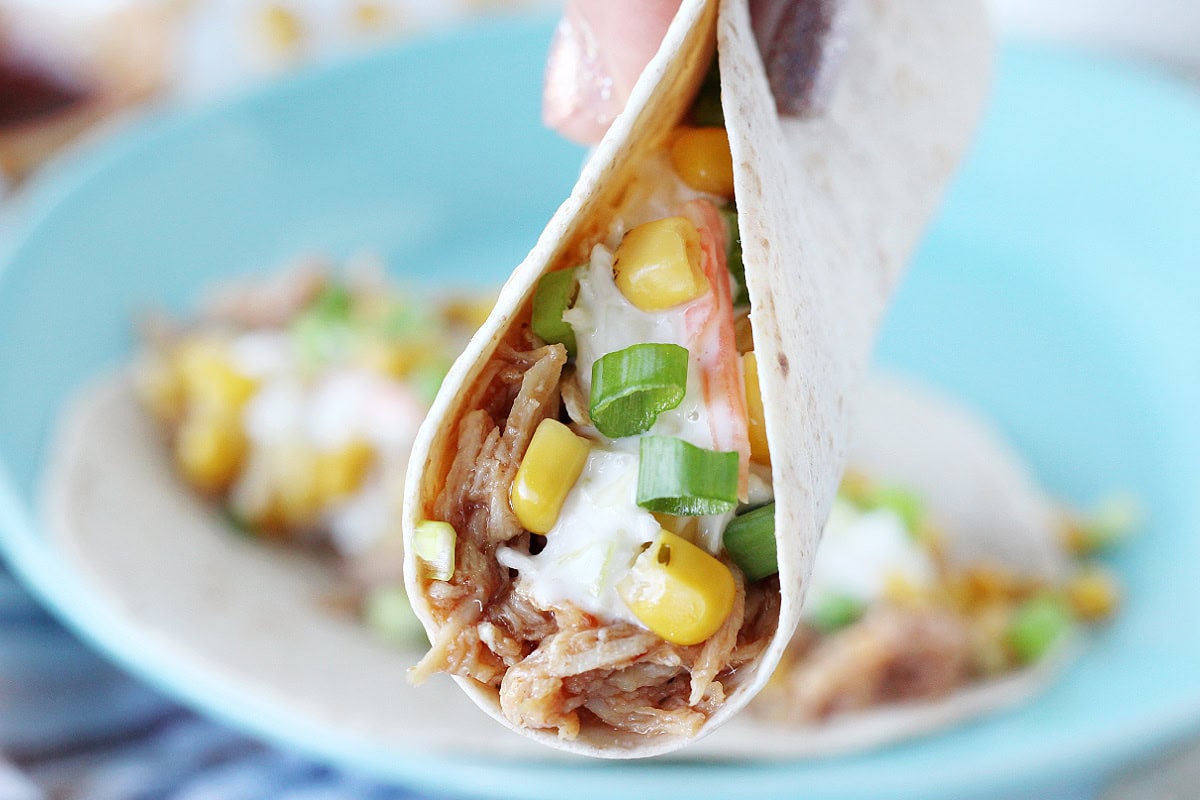 Up close photo of a woman's fingers holding a BBQ chicken taco with green onions.