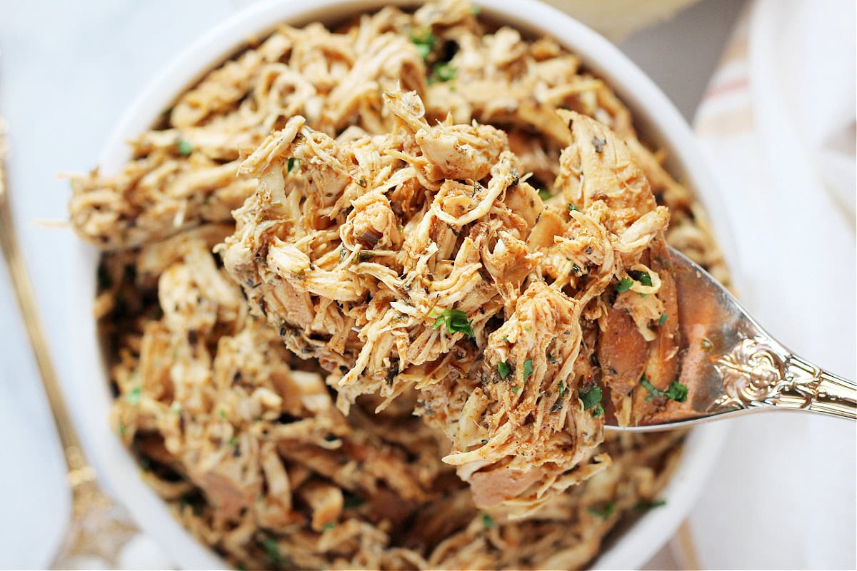 A gold fork with zesty crockpot shredded chicken on it.