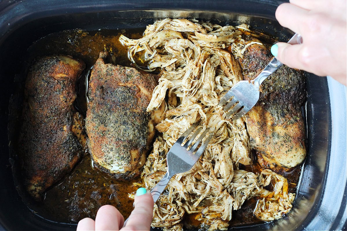 Two forks shredding seasoned chicken breasts in a slow cooker.