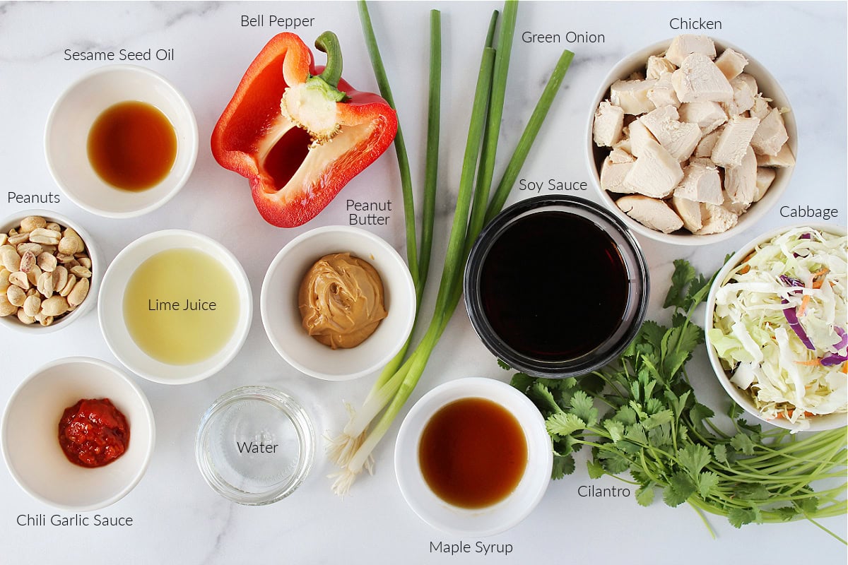Labeled ingredients for chicken coleslaw salad with peanut dressing on a white marble countertop.