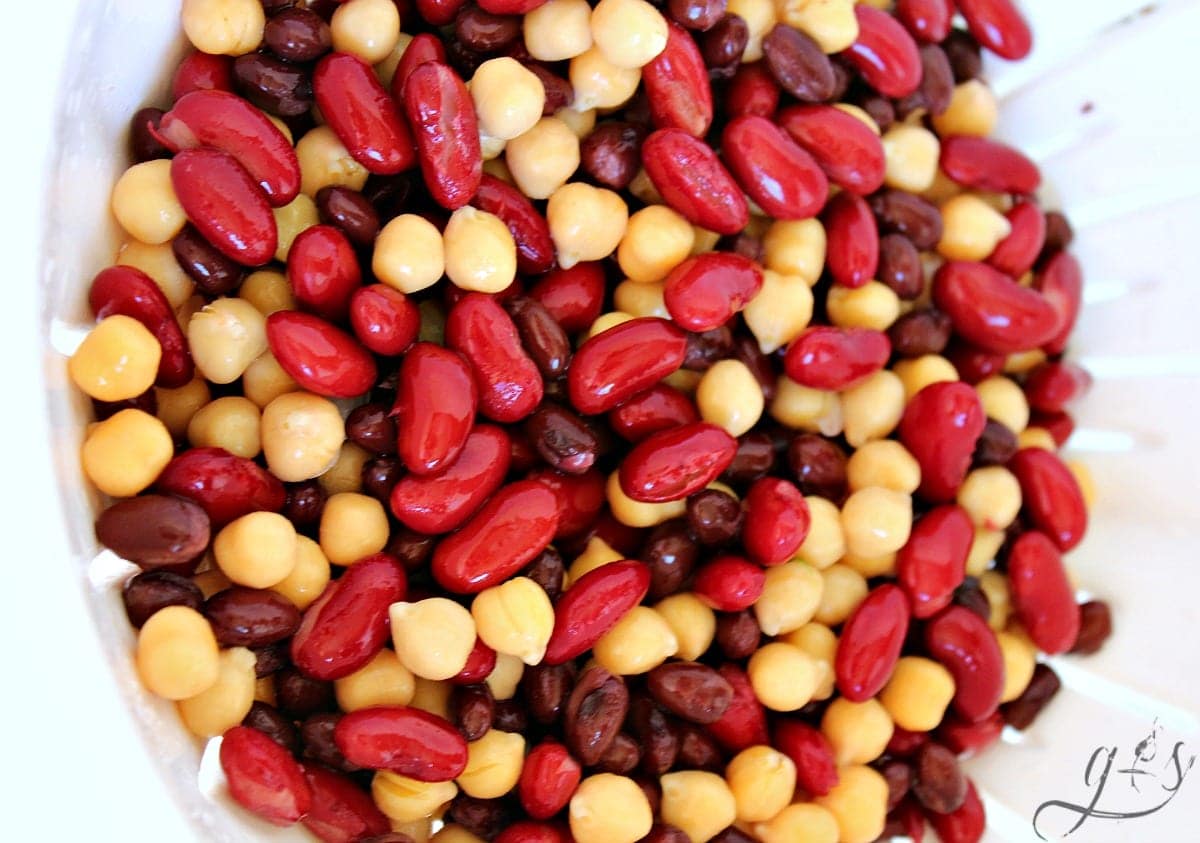 Kidney beans, black beans and garbanzo beans rinsed in a white colander.