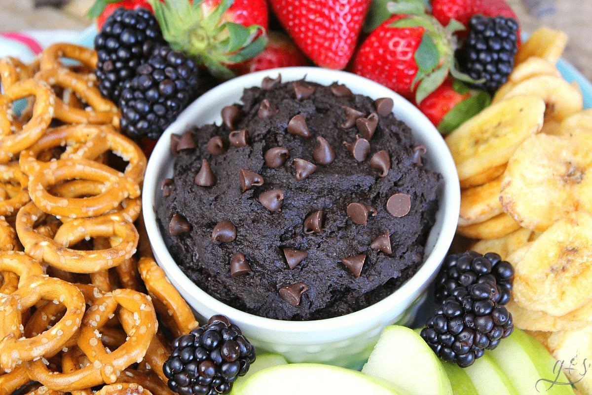Brownie batter hummus in a bowl surrounded by fresh fruit, pretzels and dried banana chips.