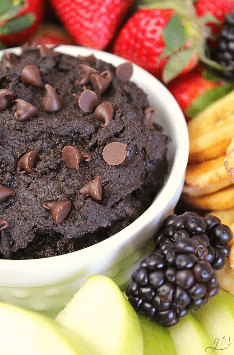 Brownie batter hummus with chocolate chips surrounded by fresh fruit.