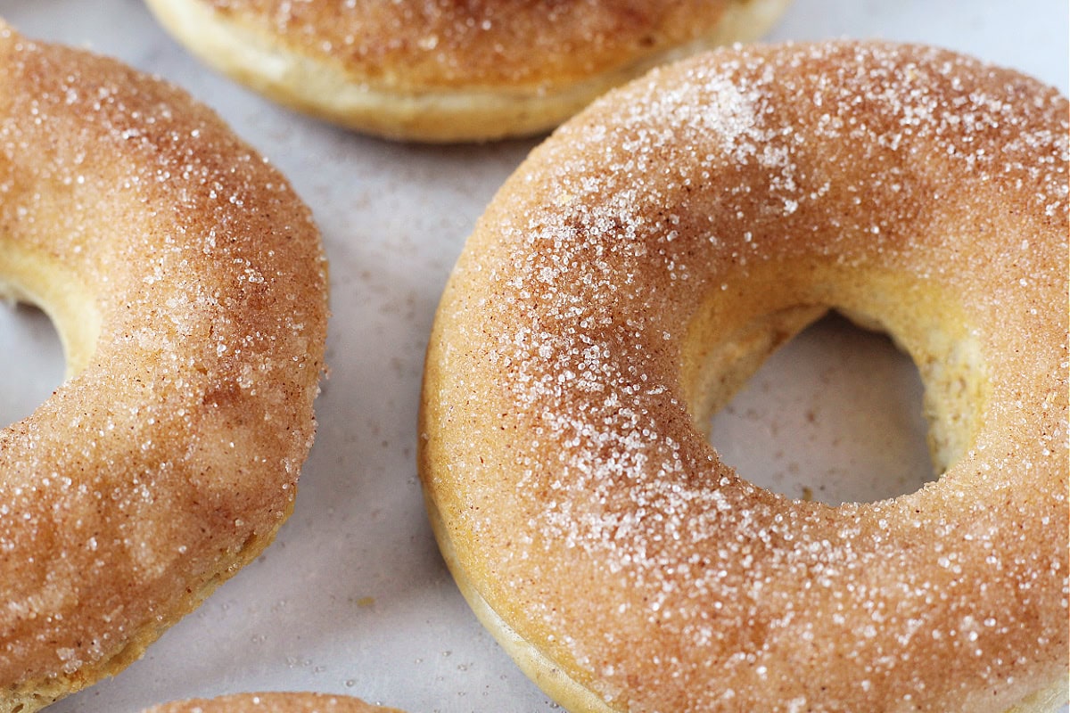 Fluffy golden brown donuts covered in cinnamon and monk fruit sweetener.