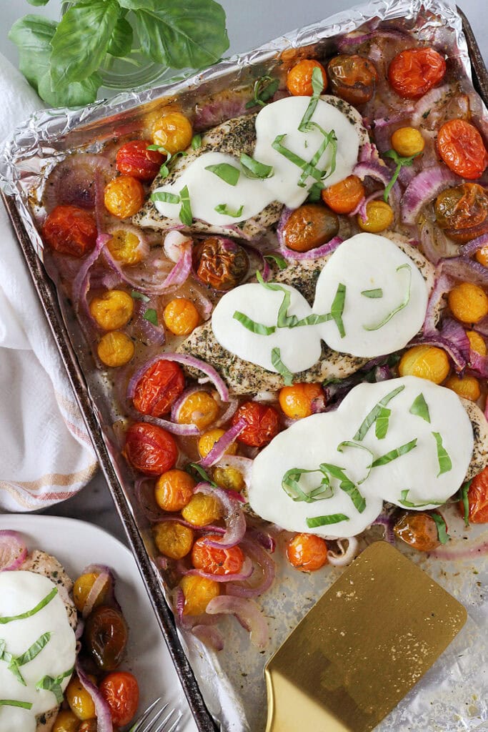 Three baked chicken breasts topped with melted mozzarella surrounded by roasted tomatoes.