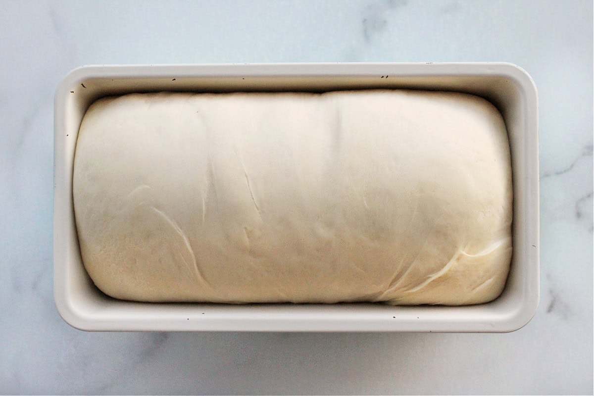 Proofed sourdough sandwich loaf in a metal bread pan.