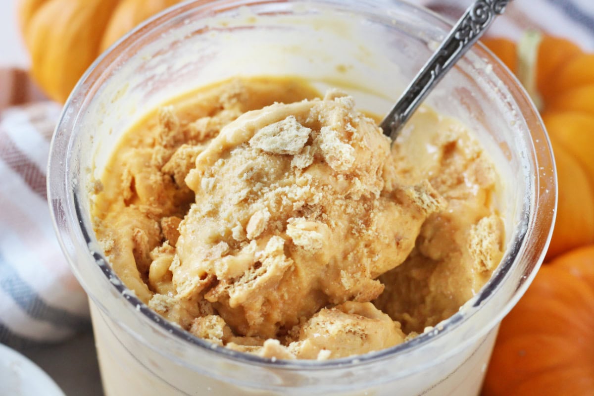 Cinnamon graham cracker crumbs on Ninja Creami pumpkin pie ice cream.