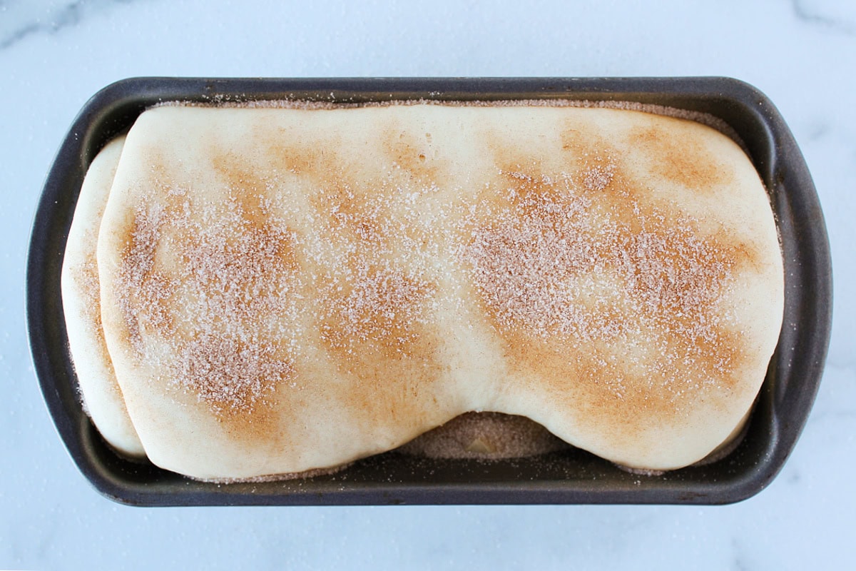 Cinnamon sugar sprinkled over proofed sourdough in a 9x5 loaf pan.