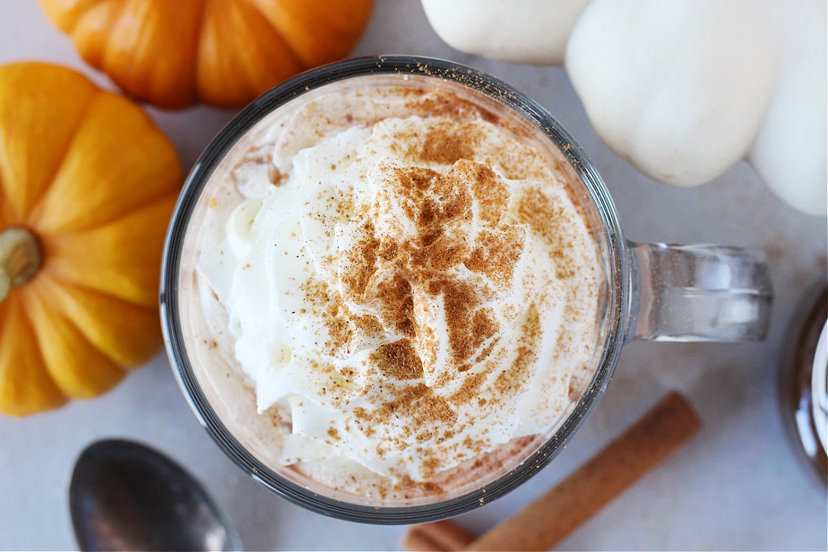 Pumpkin pie spice sprinkled on whipped cream topped hot chocolate.