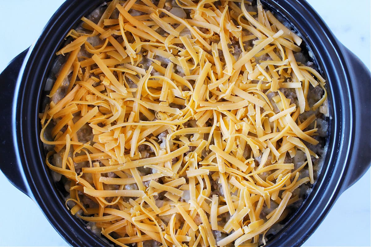 Shredded cheddar cheese on top of casserole in black Dutch oven.