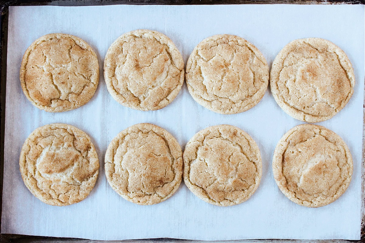Eight baked snickerdoodles on a parchment paper lined baking sheet.